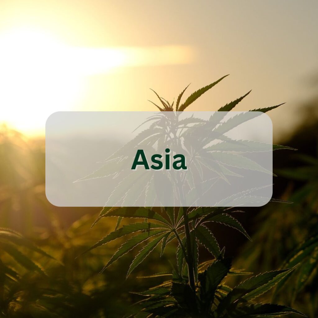 Asia cannabis industry data button