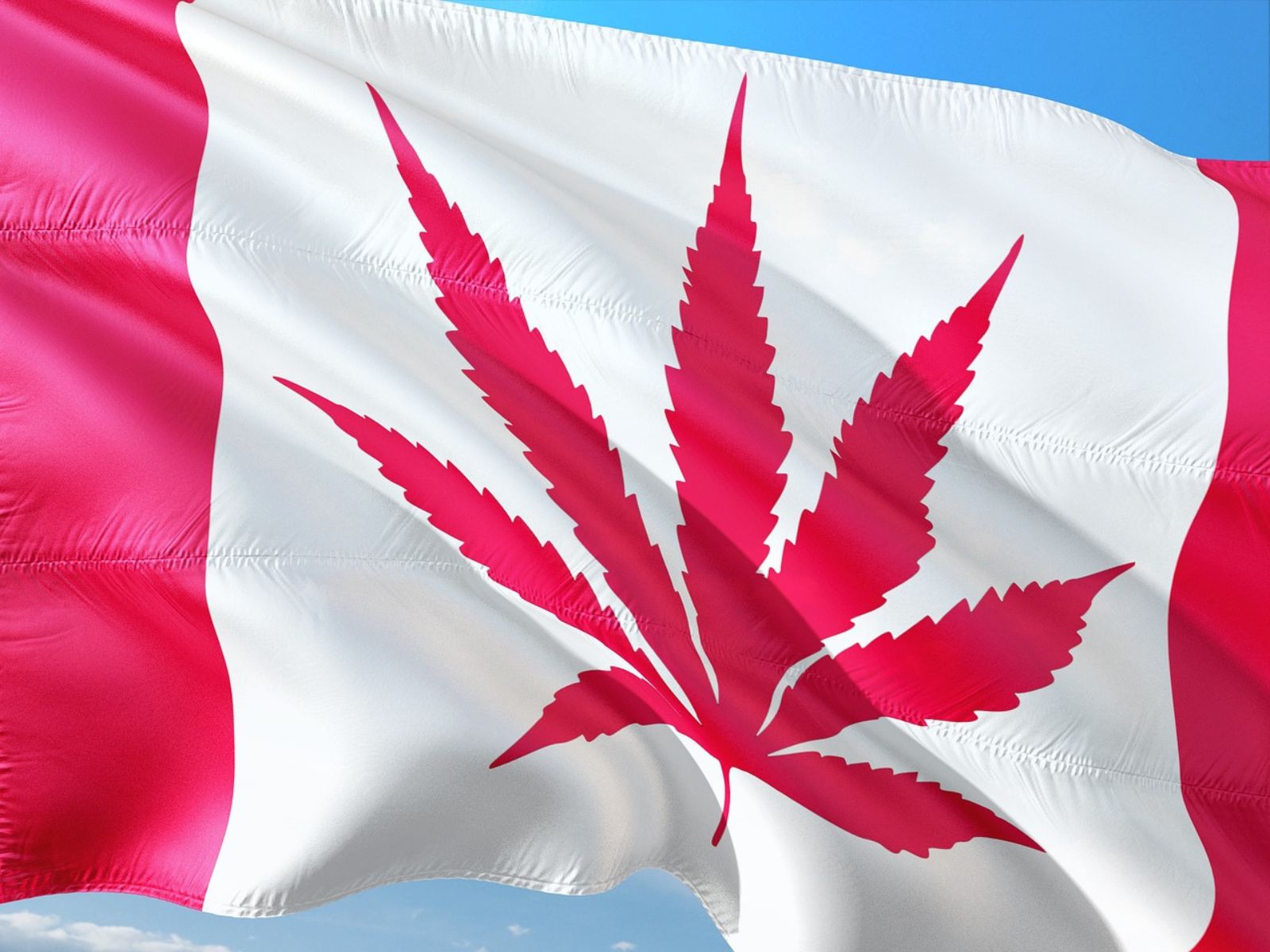 Canada Canadian flag cannabis leaf