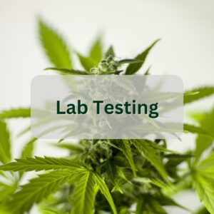 cannabis industry data lab testing sector button