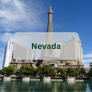 Nevada button