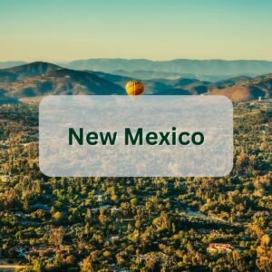 New Mexico button