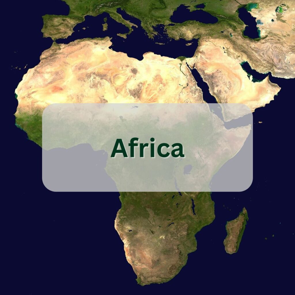 africa cannabis industry data button