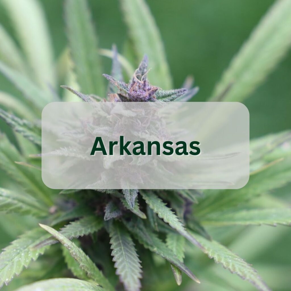 Arkansas cannabis industry data button