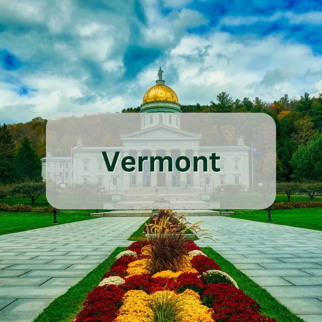 Vermont cannabis industry data button
