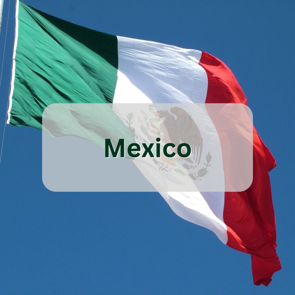mexico cannabis industry data button