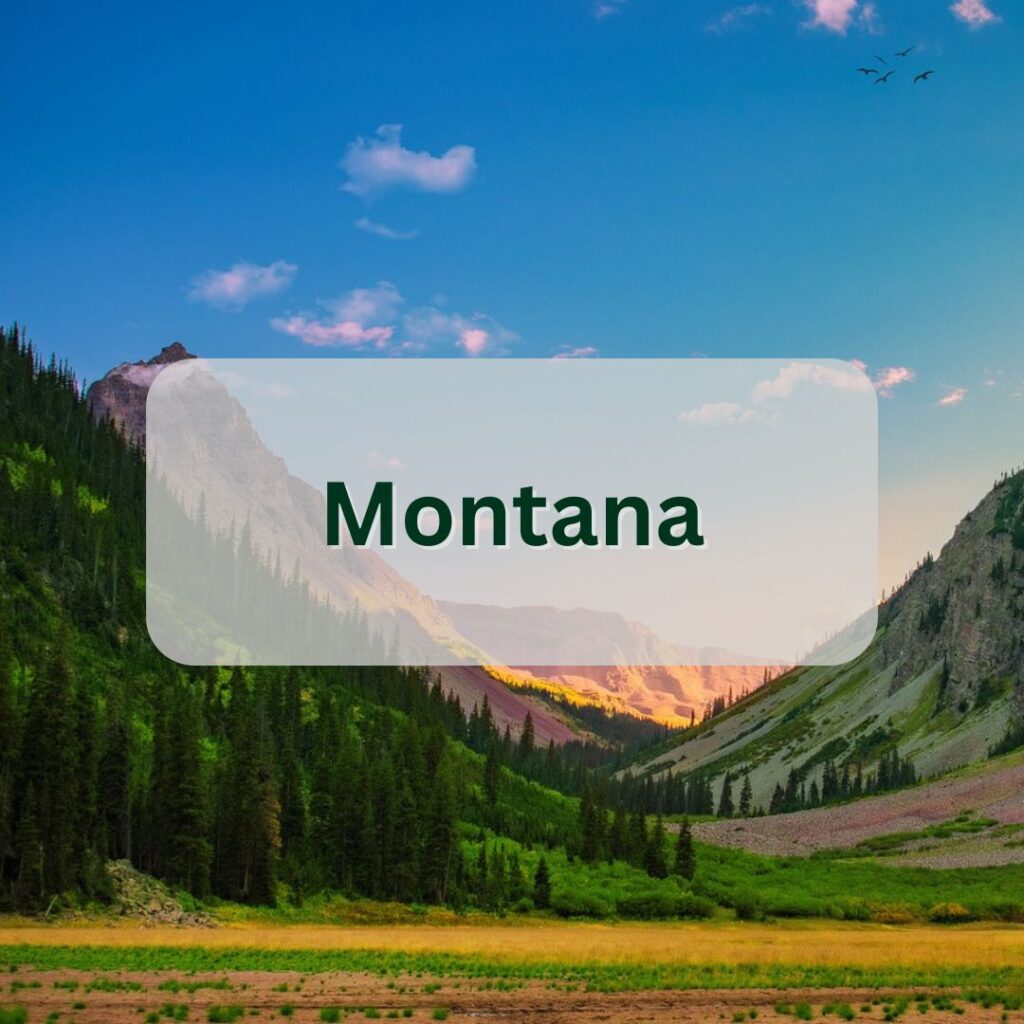 montana cannabis industry data button