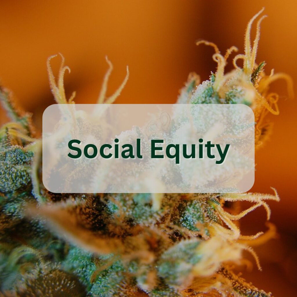 social equity cannabis industry data button