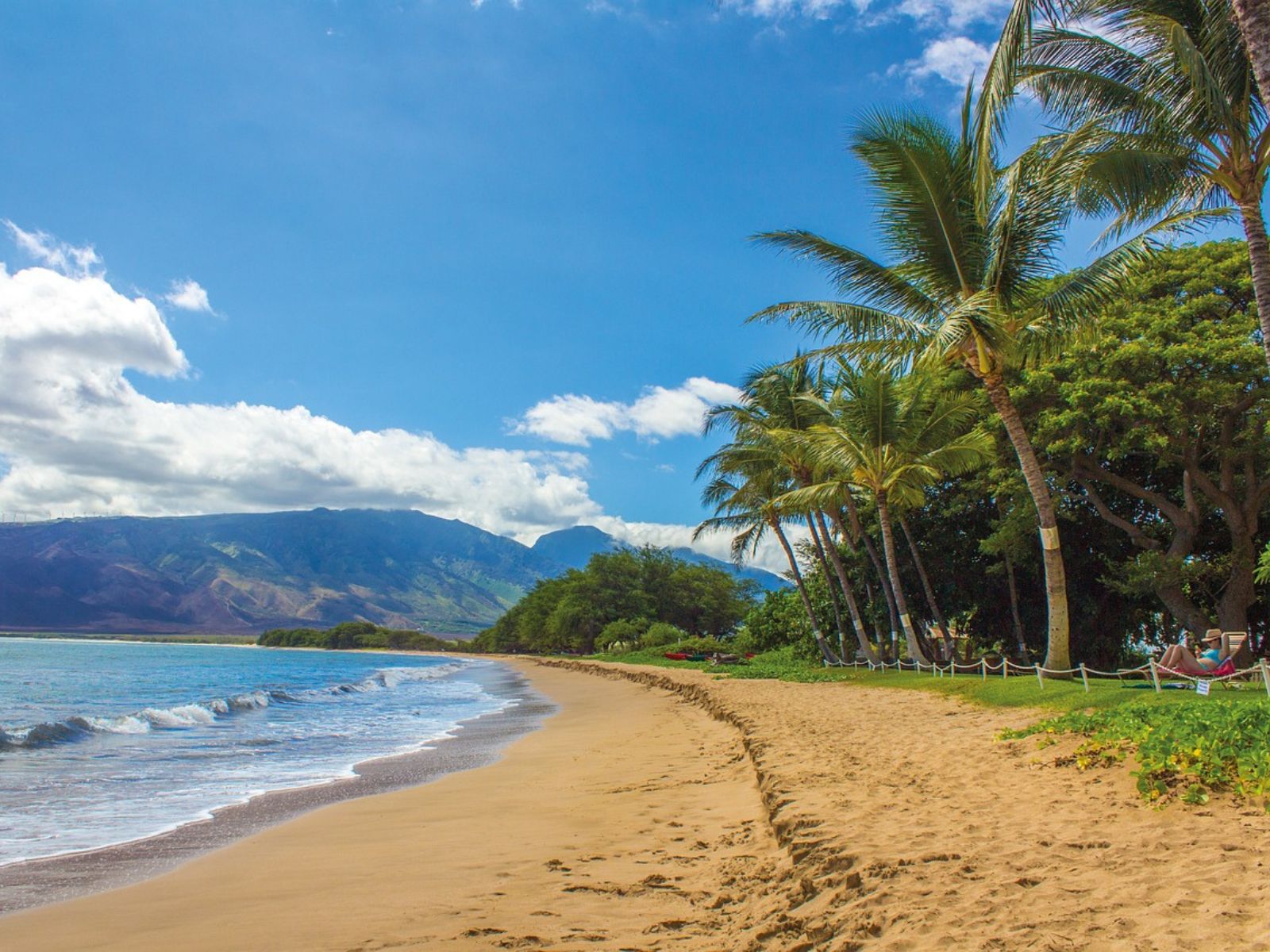 How Much Is Hawaii’s Cannabis Market Worth?