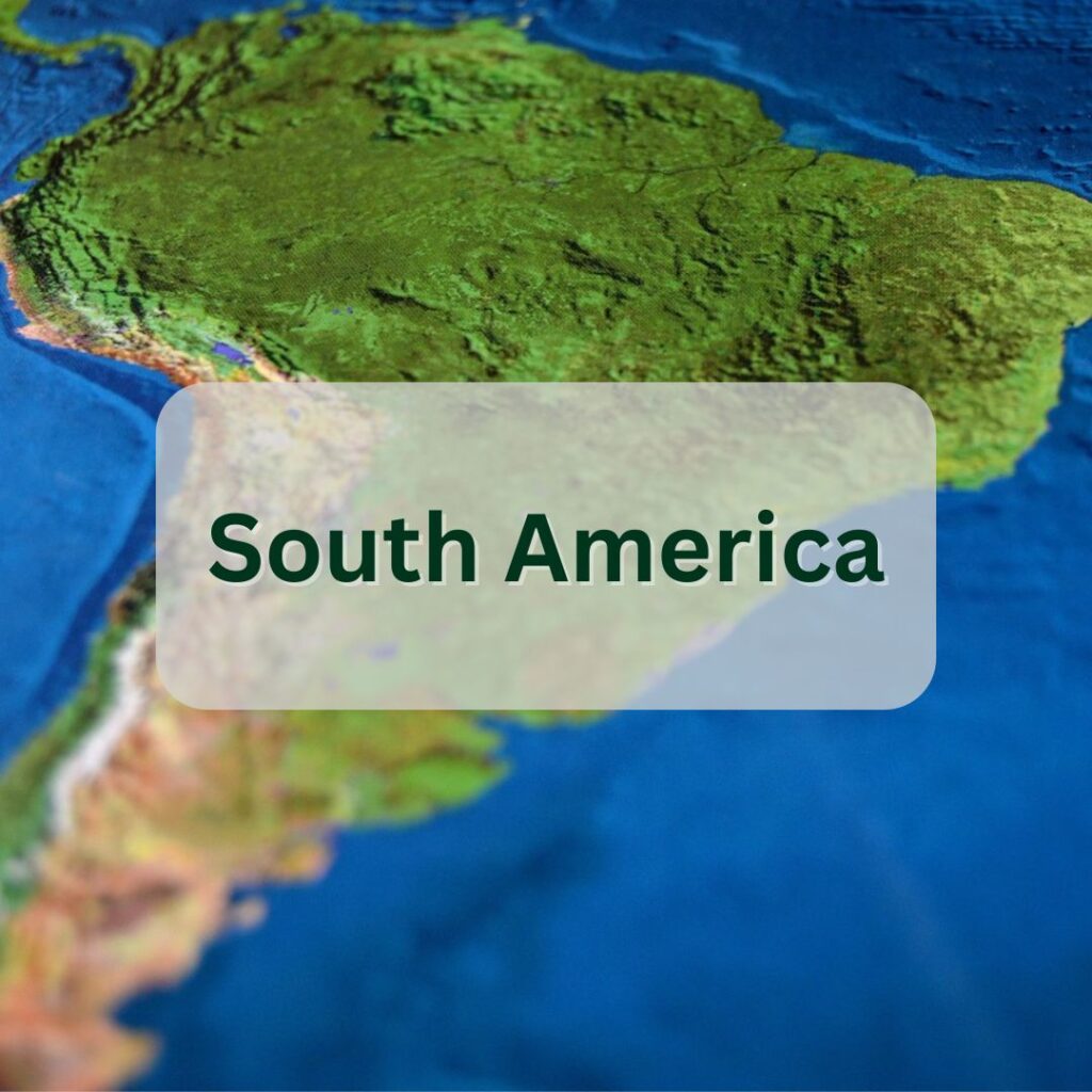 south america cannabis industry data button