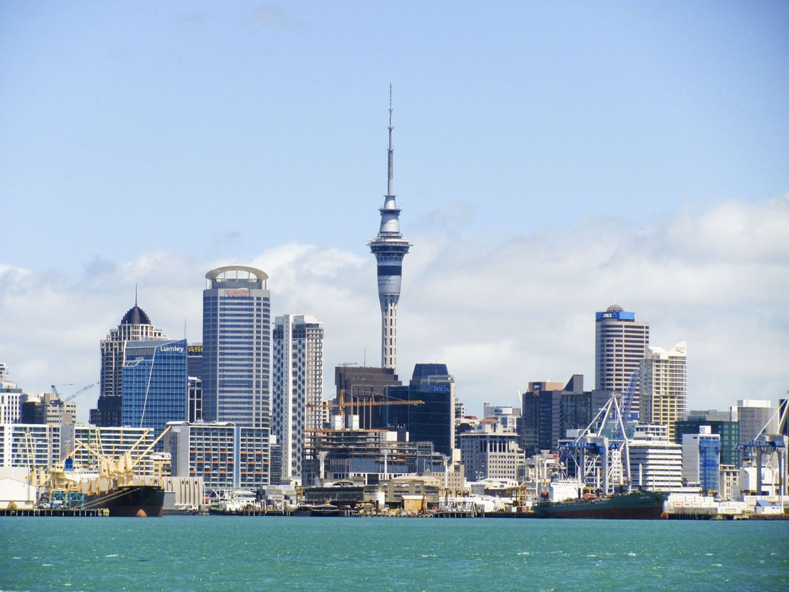 New Zealand Ministry Of Health Data Demonstrates Medical Cannabis Industry Growth