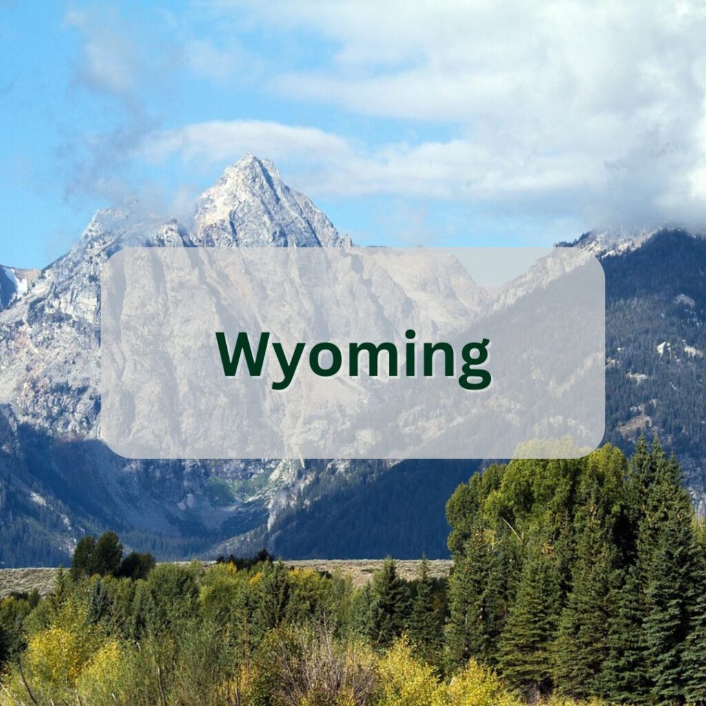 wyoming cannabis industry data button